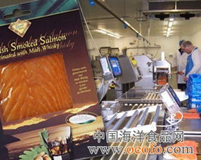 英国法恩水产公司向苏格兰加工厂注资120万英镑的法律意义与合规分析